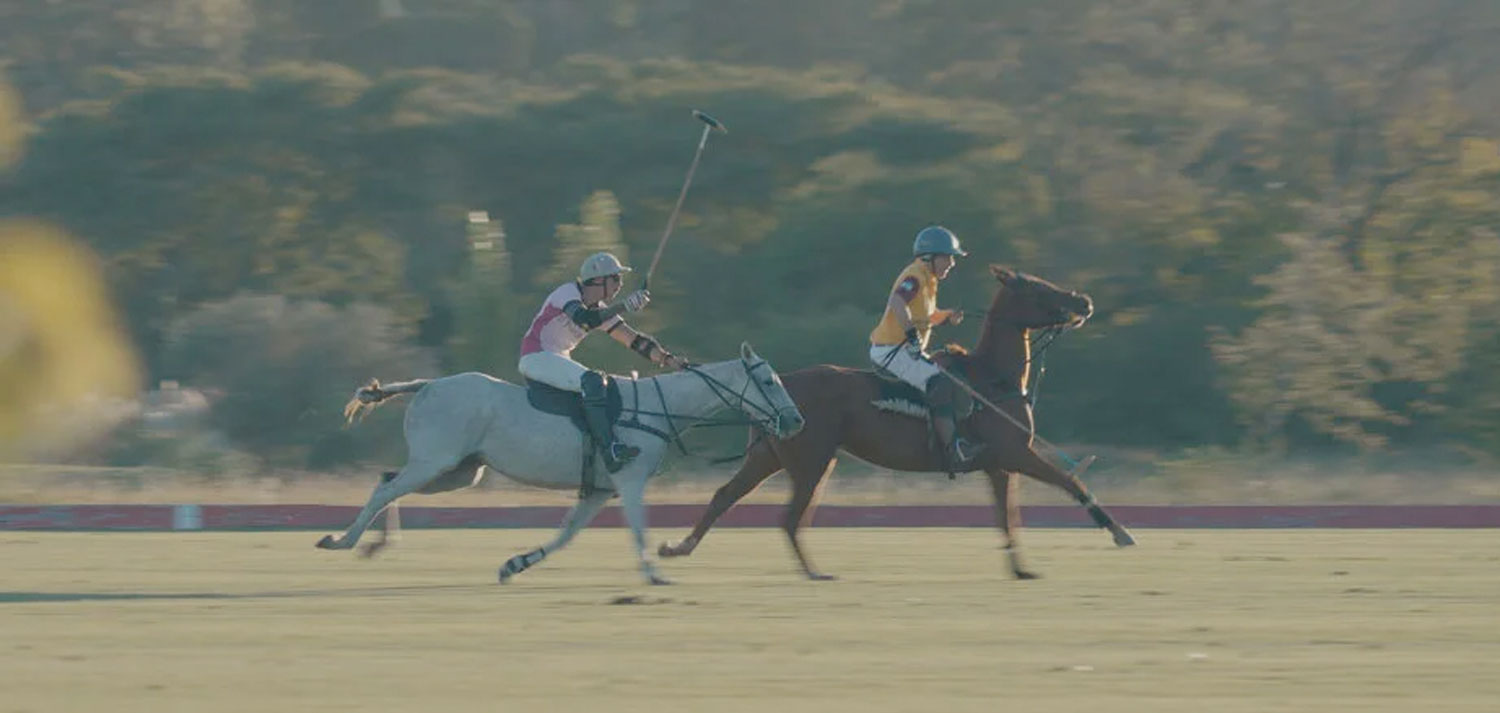 polo_1