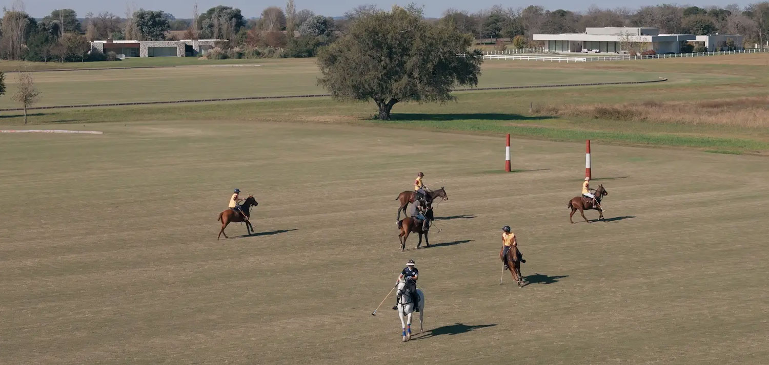 polo_2